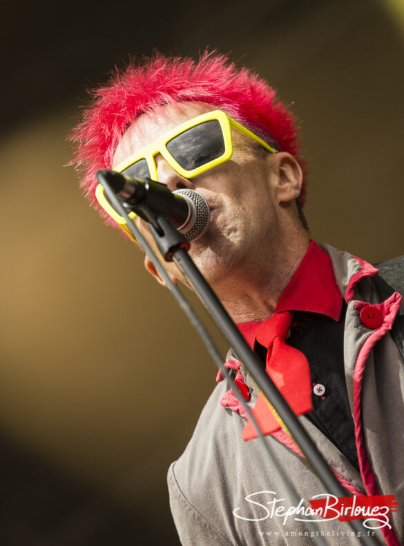 THE TOY DOLLS 