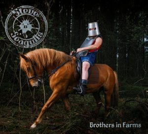 STEVE'N'SEAGULLS