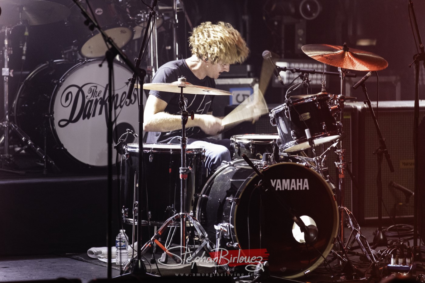 DZ DEATHRAYS - THE DARKNESS