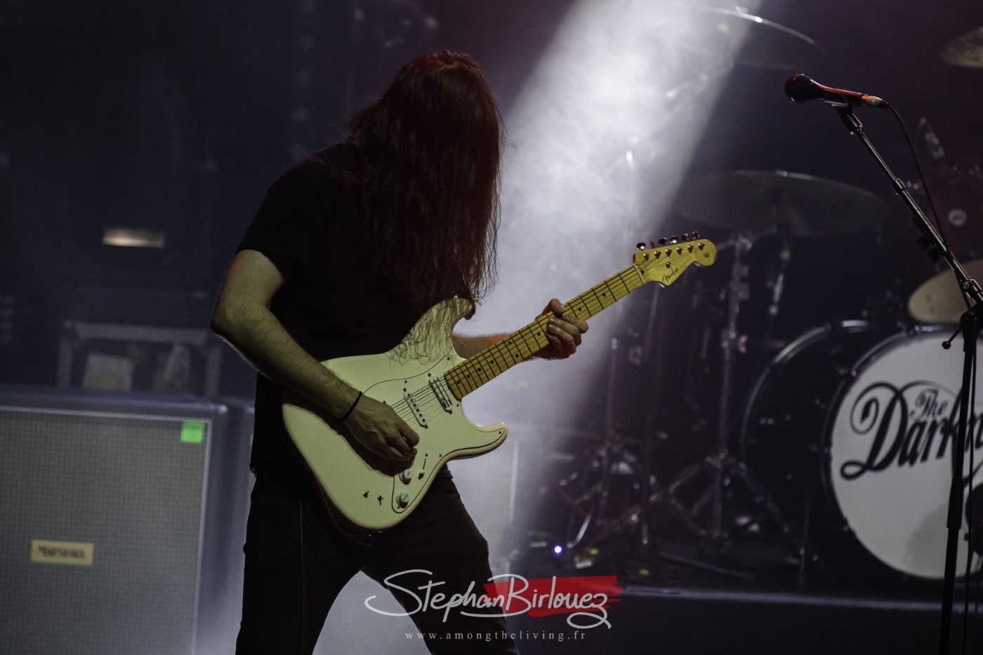 DZ DEATHRAYS - THE DARKNESS