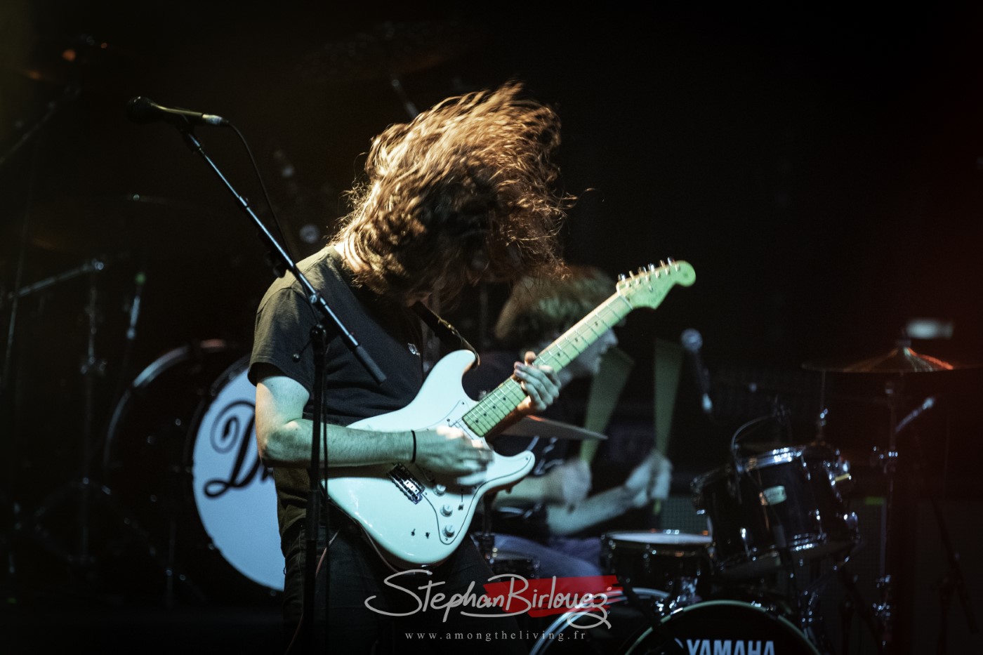 DZ DEATHRAYS - THE DARKNESS