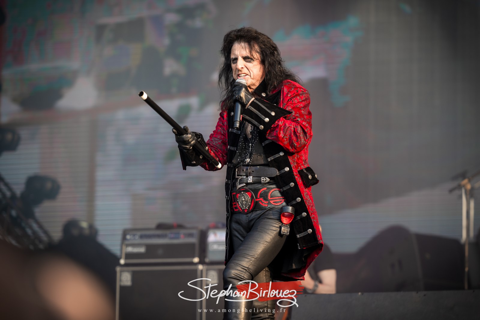 Alice cooper