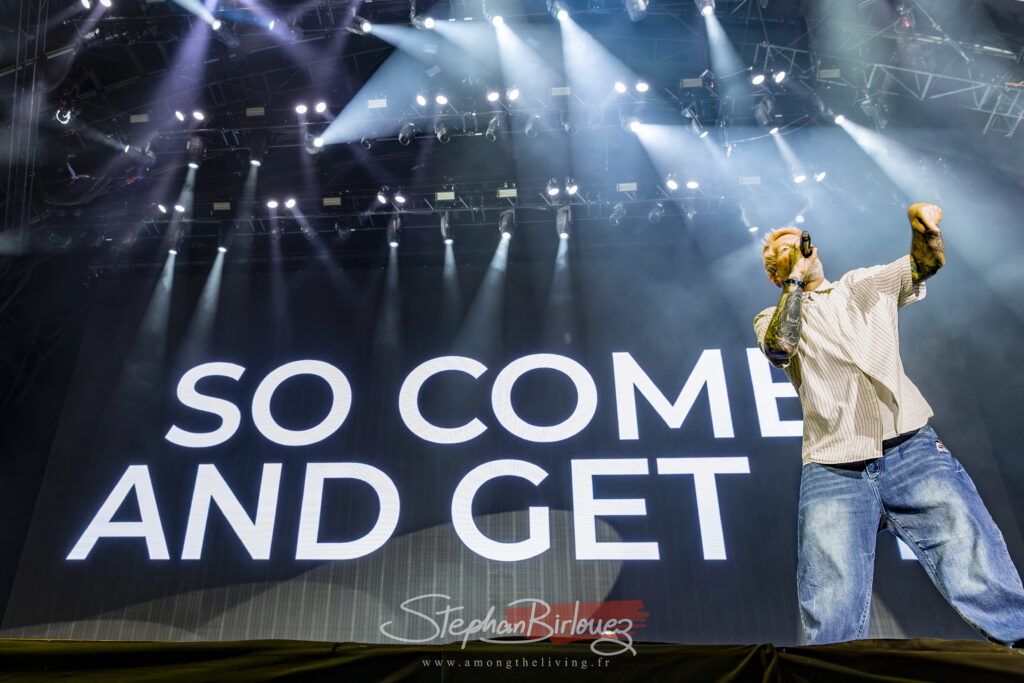18 - LIMP BIZKIT-HELLFEST
