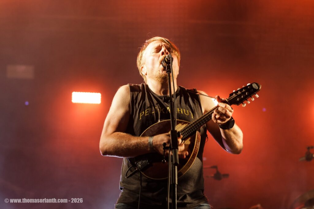 Steve'n'Seagulls_ motocultor